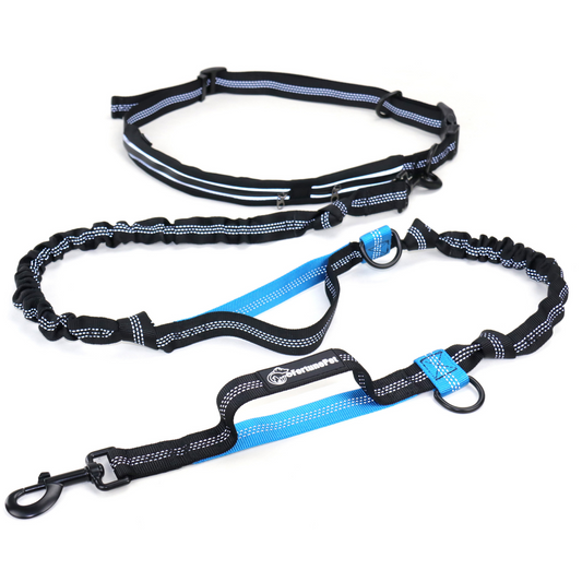 GoFortunePet Hand Free Dog Leash