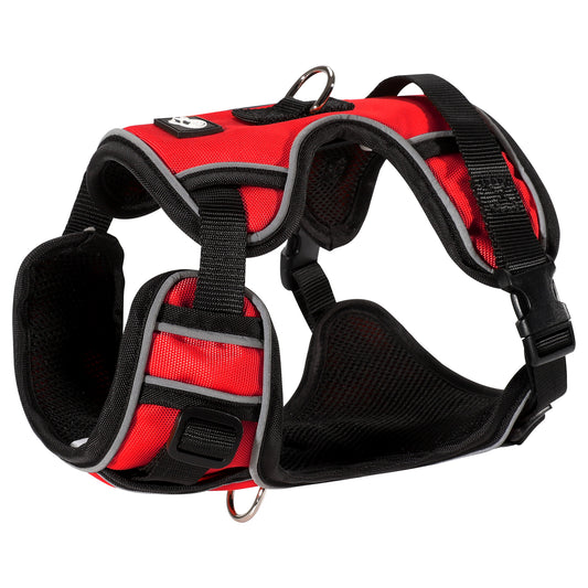 GoFortunePet Dog Harness